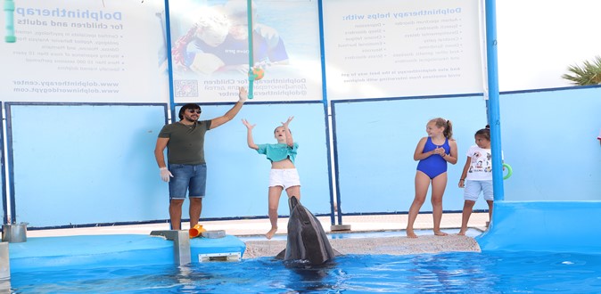 Playing with dolphin